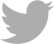 twiiter icon